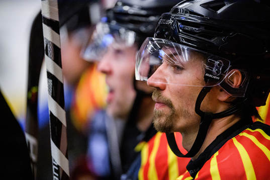 Brynäs Anton Rödin