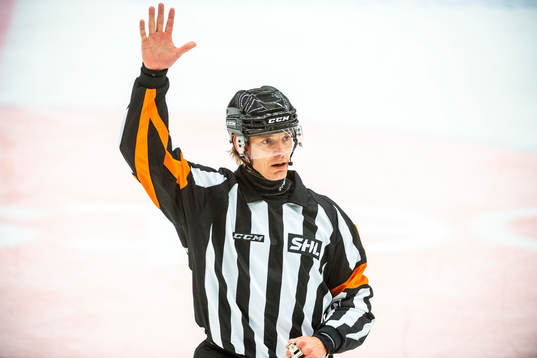 Domare Mikael Andersson