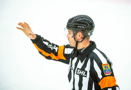 Domare Johan Magnusson