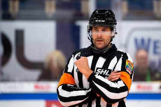 Domare Mikael Sjöqvist
