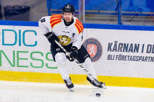 Brynäs Anton Rödin