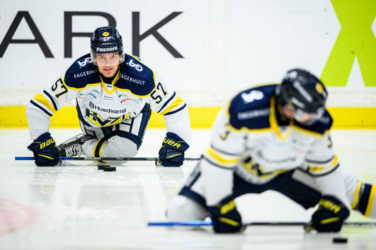 s Anton Wedin