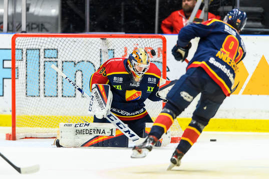 Djurgårdens målvakt Niklas Svedberg