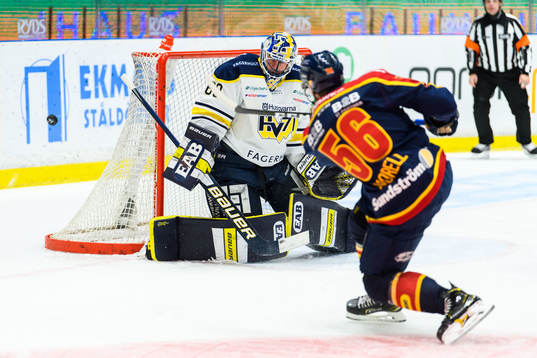 s målvakt Hugo Alnefelt och Djurgårdens Robin Norell