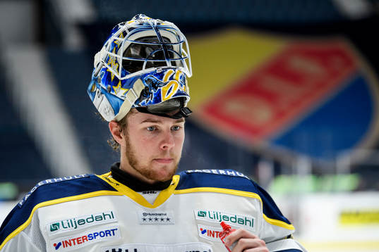 s målvakt Hugo Alnefelt