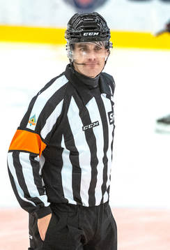 Domare Richard Magnusson