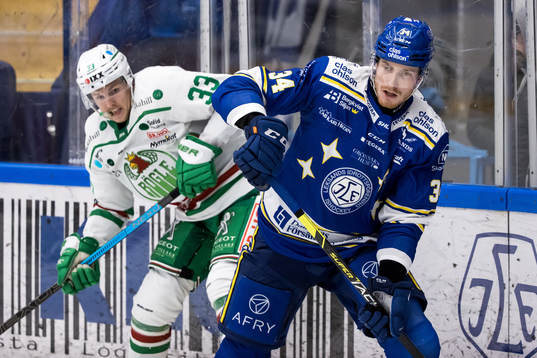 Rögles Niklas Hansson och Leksands Peter Cehlarik