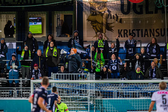 Spectators in the stands