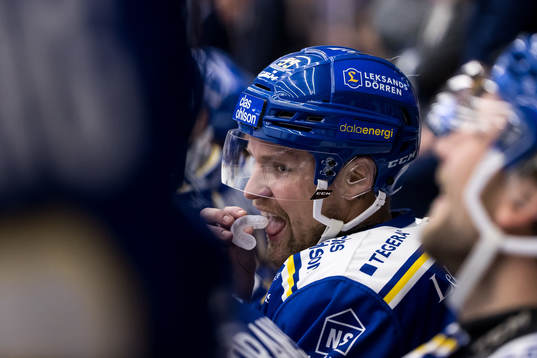 Leksands Jonas Ahnelöv
