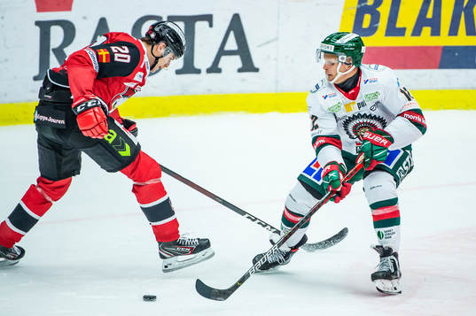 Malmö Redhawks Helge Grans mot Frölundas Max Friberg