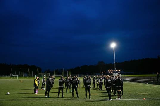 Samling