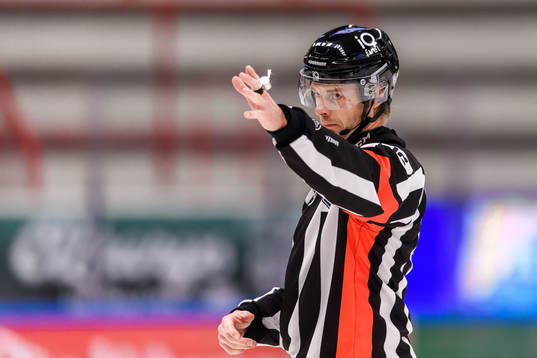 Domare Mikael Andersson