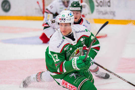 Rögles Olli Palola