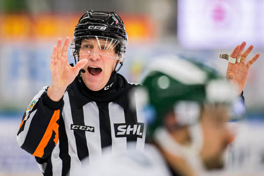 Domare Morgan Johansson