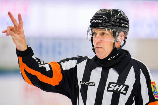 Domare Morgan Johansson