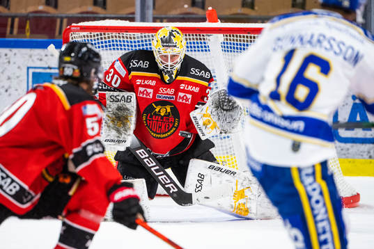 Luleås målvakt David Rautio