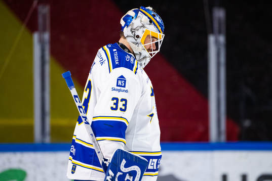 Leksands målvakt Axel Brage deppar