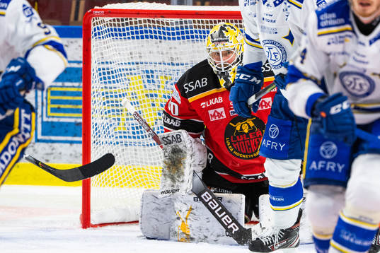 Luleås målvakt David Rautio