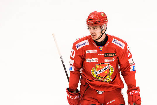 Almtunas Johan Södergran