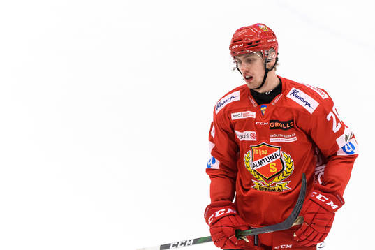 Almtunas Johan Södergran