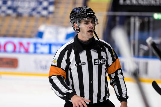 Domare Richard Magnusson