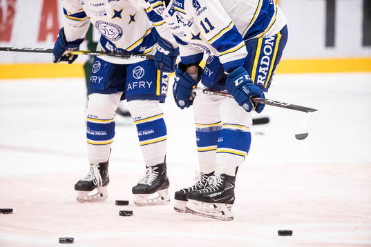 Leksands spelare