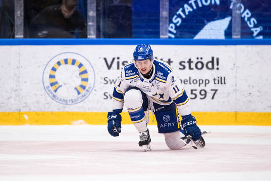 Leksands Martin Karlsson