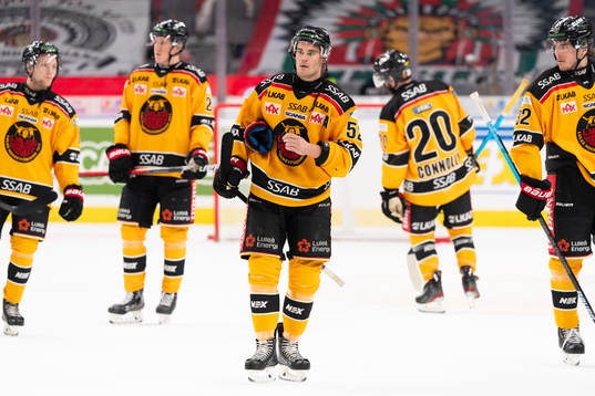 Luleås Karl Fabricius deppar