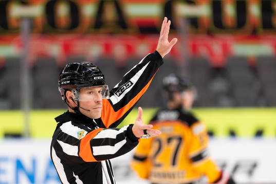 Domare Tobias Björk