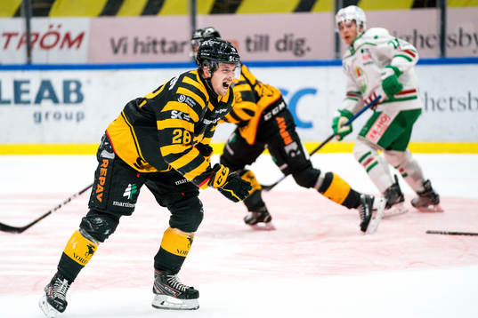 Skellefteås Jesper Frödén