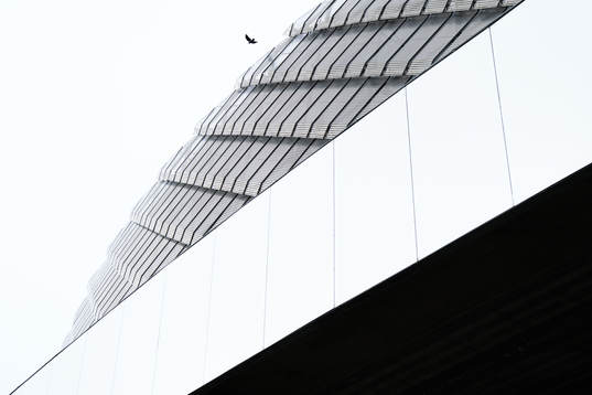 En fågel utanför Tele2 Arena