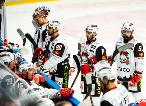 Malmö Redhawks spelare