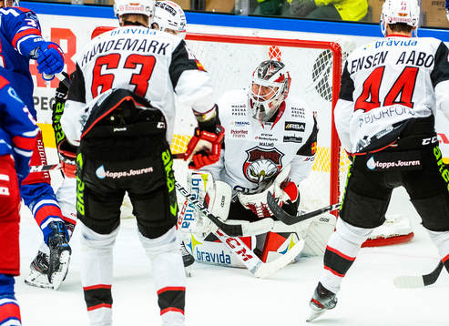 Malmö Redhawks målvakt Lars Volden