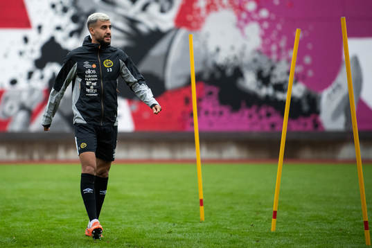 Rami Kaib