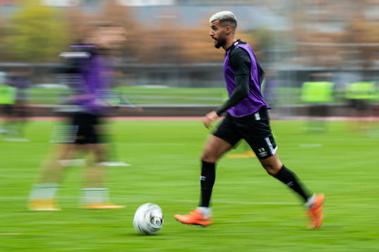 Rami Kaib