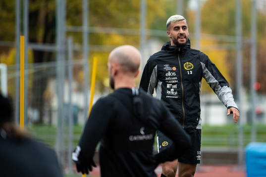 Rami Kaib