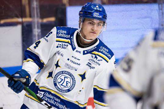 Leksands Erik Hedlund