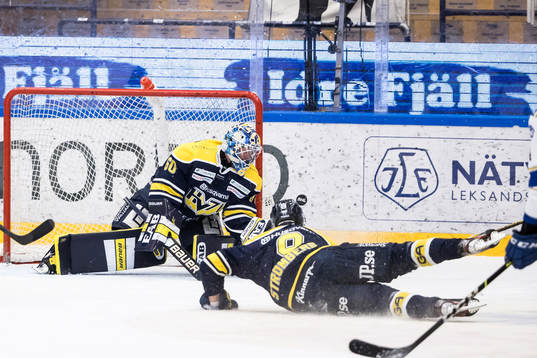 s målvakt Hugo Alnefelt