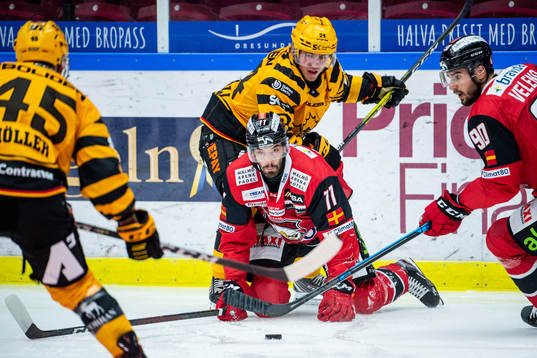 Malmö Redhawks Markus Lauridsen och Skellefteås Andreas