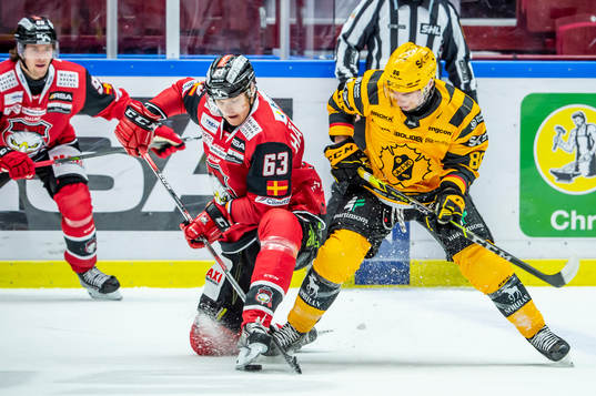 under ishockeymatchen i SHL mellan Malmö Redhawks och