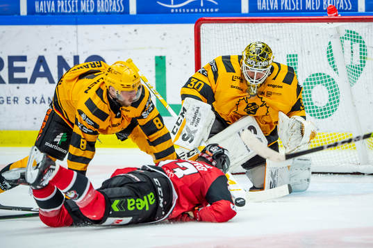 Malmö Redhawks Fredrik Händemark mot Skellefteås