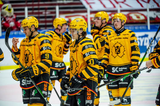 Skellefteås Kenneth Gulbrandsen deppar med lagkamraterna