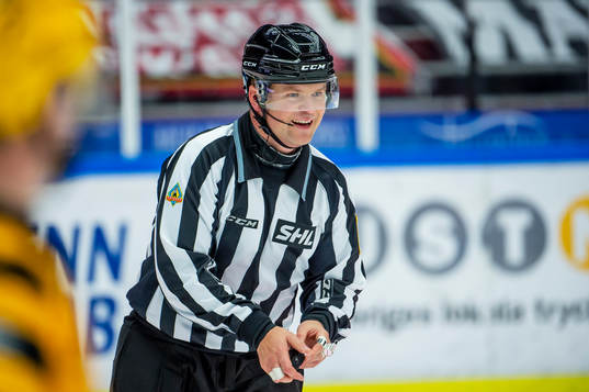 Linjedomaren Ludvig Lundgren