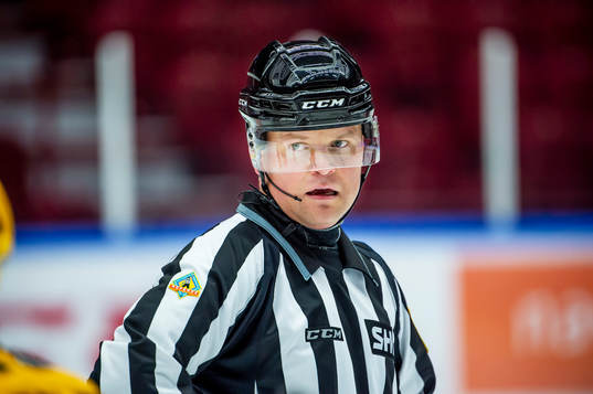 Linjedomaren Ludvig Lundgren
