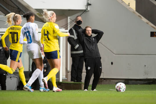 Jon Thor Hauksson, head coach of Iceland