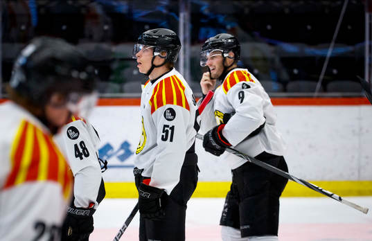 Brynäs Tomi Sallinen och Niclas Andersén deppar