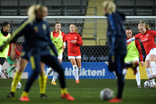 Players of Iceland