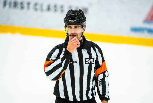 Domare Richard Magnusson