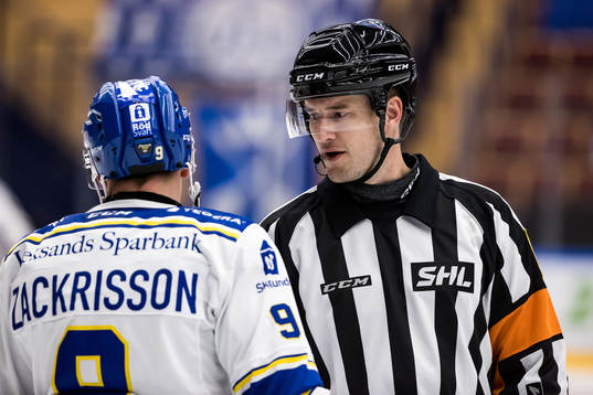 Domare Mikael Nordlöv