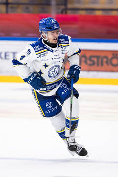 Leksands Erik Hedlund